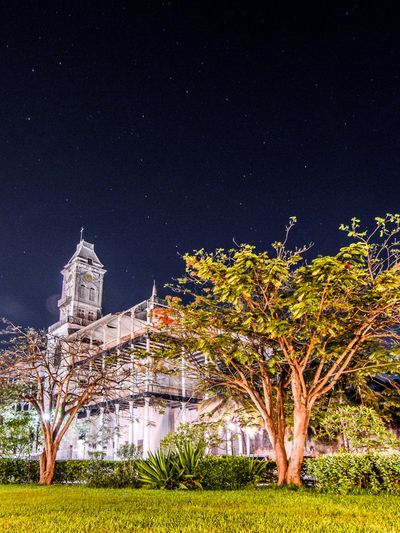 House of wonders building at night with trees and grass in stone town